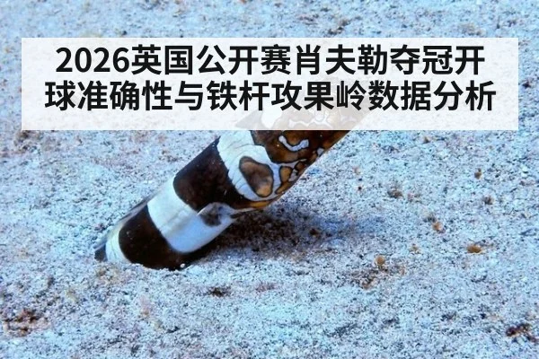 2026英国公开赛肖夫勒夺冠开球准确性与铁杆攻果岭数据分析