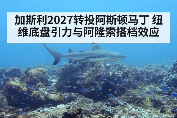 加斯利2027转投阿斯顿马丁 纽维底盘引力与阿隆索搭档效应